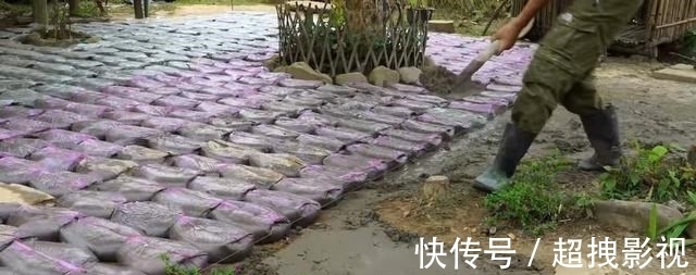 满铺|自己动手捯饬院子,塑料袋里灌水泥,铺满整个地面,比青石板结实