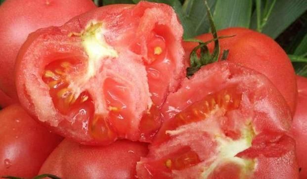 减肥|只吃不胖的四样食材，加快脂肪的消耗，帮你轻松拥有迷人身姿！