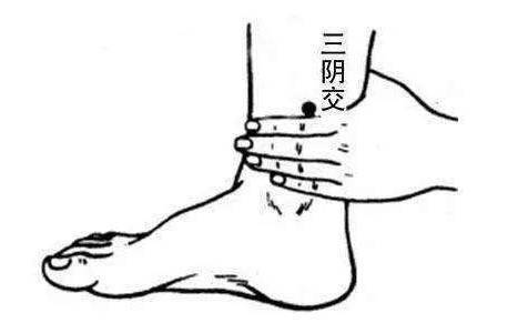 三阴交|人到中年,脸下垂!中医4招,迅速提升下垂脸,简简单单就变美!