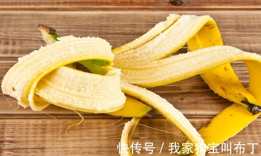 鸡蛋壳|要想盆栽花卉长的旺,万能土不能少