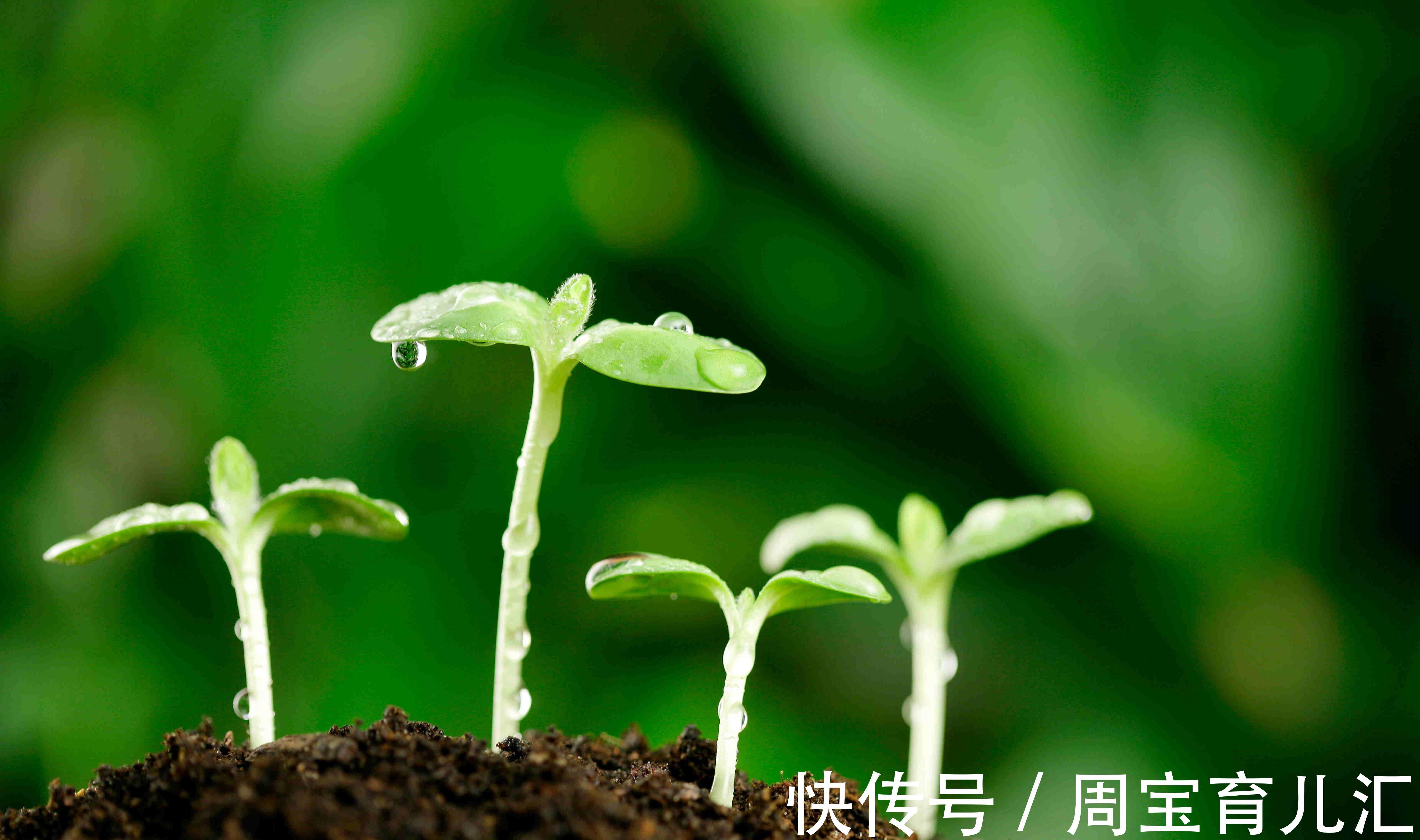 张女士|不快乐的童年,令多少孩子失去自我,家长还不足以醒悟吗?