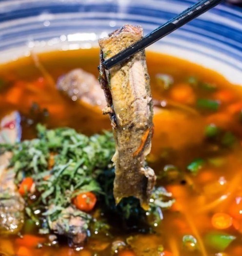 最好吃的鱼,营养是甲鱼8倍,16块钱一斤,比肉便宜无人买