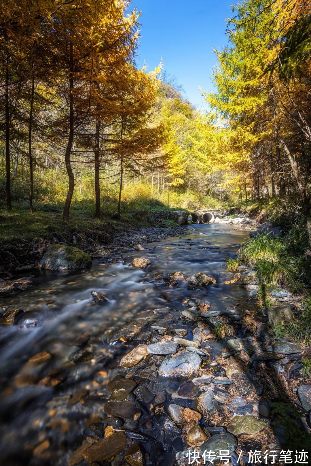 许家山|秘境徒步｜秦岭留坝深处这四条线路，惊艳了整个秋天