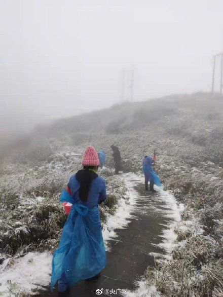 金佛山|重庆金佛山迎来12月首场大雪