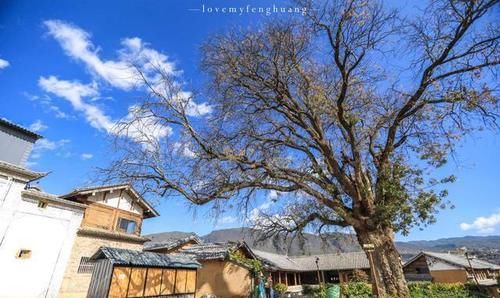 中年|2月来大理旅行，除了苍山和洱海，还有哪些值得游玩的景点？