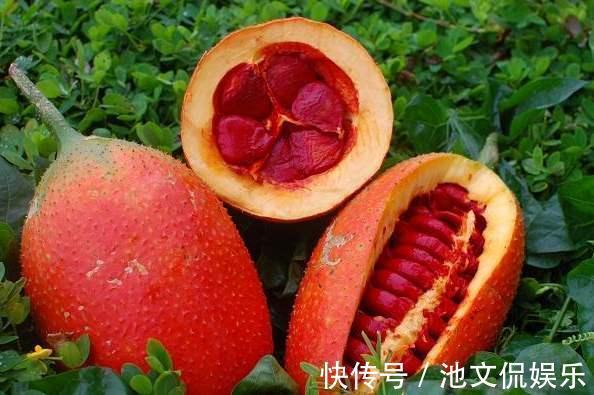 据说吃了长寿,看上去如鸡蛋长刺,茄红素超番茄70倍,一斤卖30元