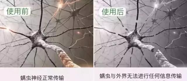 螨虫|床上螨虫成窝,家里老人小孩老过敏,教你1个土法子,让螨虫消失