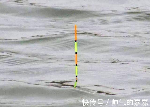 别怪我说你,这5种行为,对钓到鱼帮助不大,反而会影响渔获