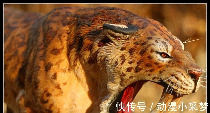 佐佐木|海贼王:佐佐木准备挑战King,他或是古代种异刃虎能力者