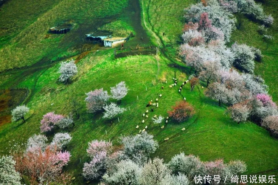 中国春天最美的十二个地方，你最想去哪个