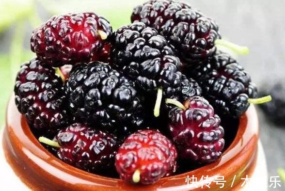 花生|花生配“1物”,胜过地黄丸,男人坚持吃7天,让肾脏更强壮