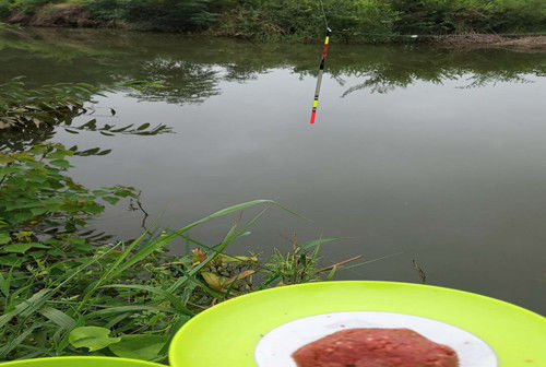 水域|夏季野钓不上鱼怎么办老钓友告诉你三招，夏季野钓上鱼多