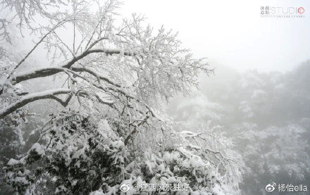 仙山|江西三清山游记：这座仙山，产在人间