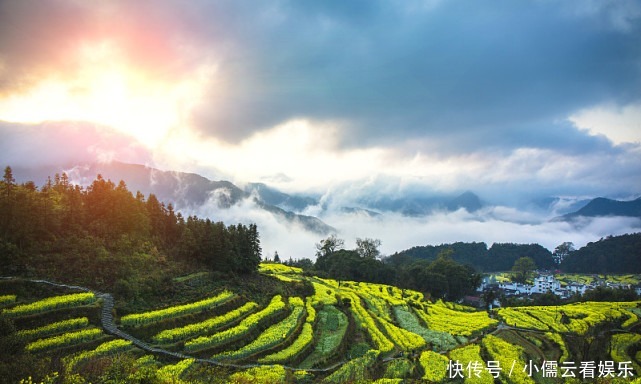 大唐|阳春三月，春回大地，三月赏花好去处