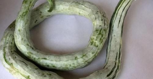 子宫|生活中常见的3种食物,女性常吃,排毒养颜、滋养子宫