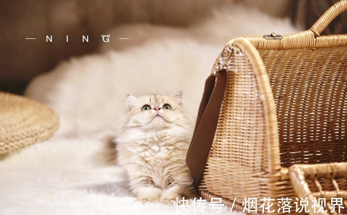 |幽默笑话:你太坏了,知道家里就一个搓衣板让我先进去