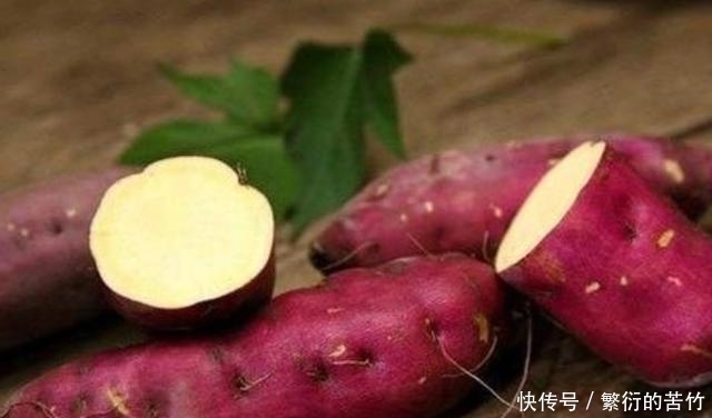 番薯藤|明朝商人陈振龙，不顾危险将番薯藤带回中国，解决数亿人温饱