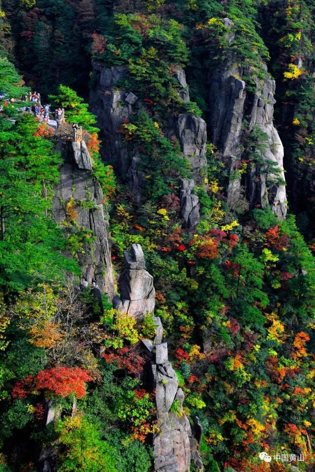 玉屏索道|到底几月来黄山风景区能看到最美的秋景?看完这篇攻略你就全明白了