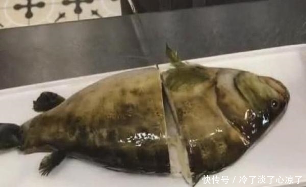 字点|老外不认识字点了条生鱼,刚一上桌皱起眉头,切开一瞧却大开眼界