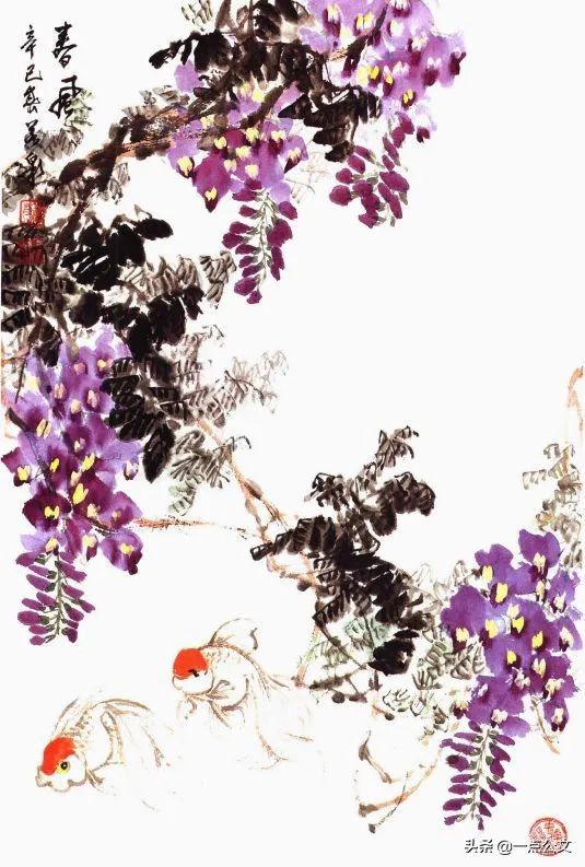 曙红|写意金鱼的画法解析