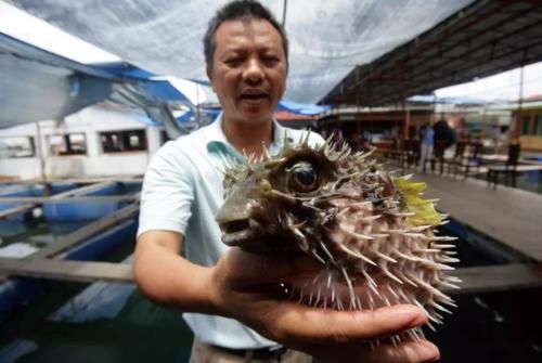 椰林|海南最正确打开方式！比走路舒适、比开车深度，破风而行，拥抱椰林与海浪！