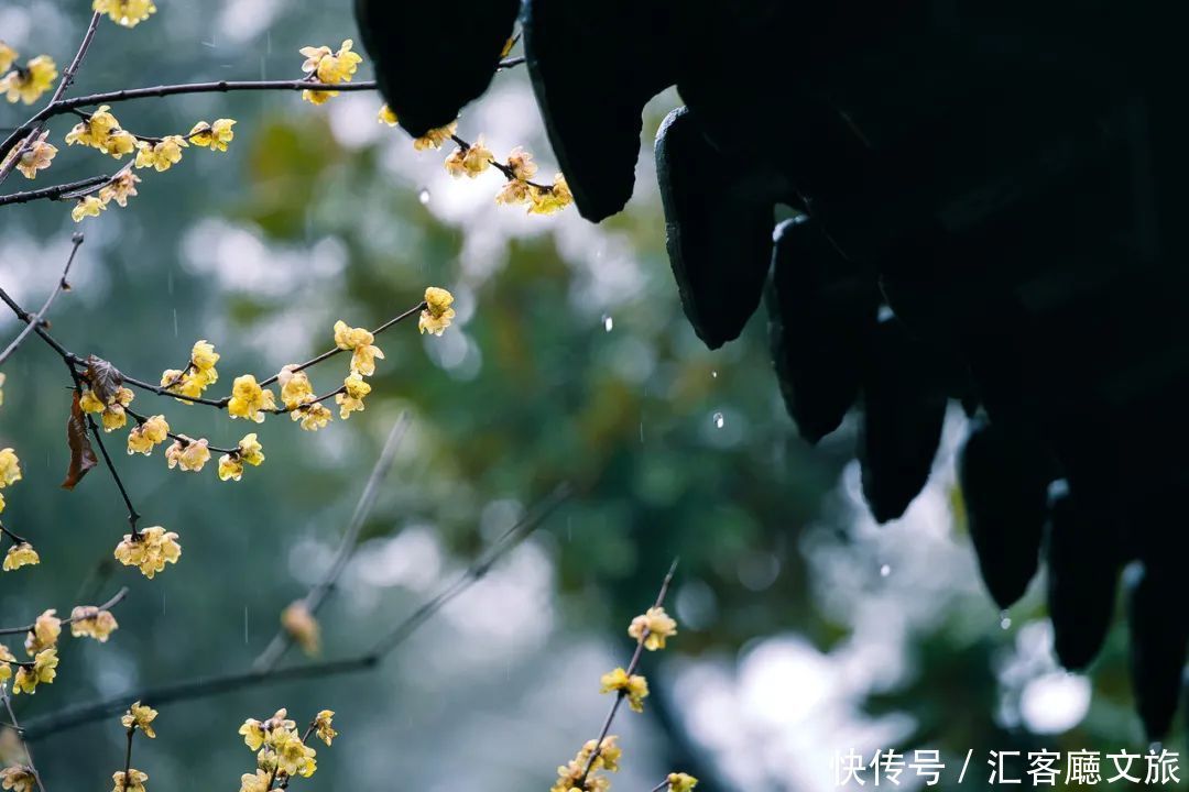 梅花|比南京秀丽，比成都安逸，倦了就去2500年老城小住几日