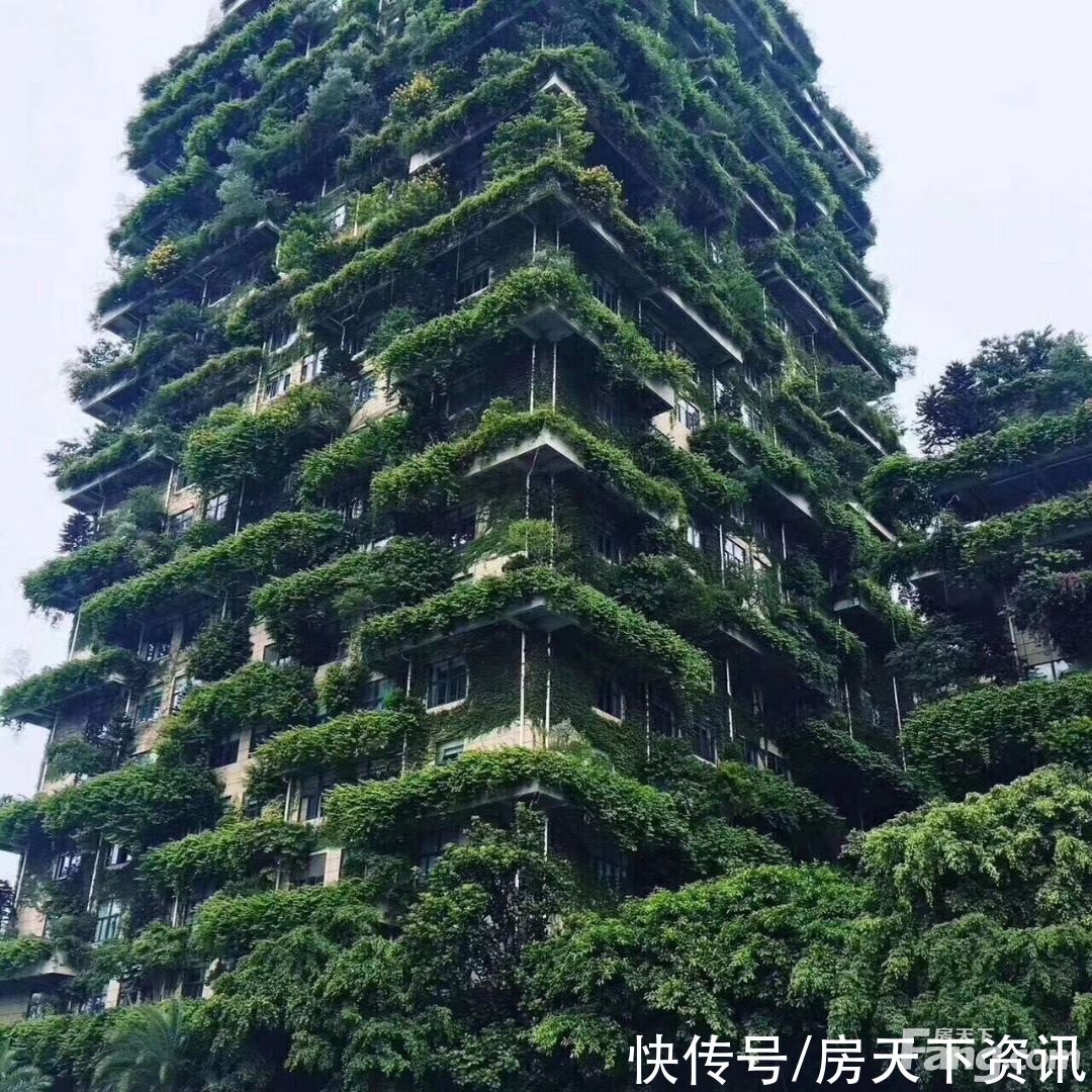 臻园|请查收从惠州惠阳热门楼盘现场传来多张谍照(组图)