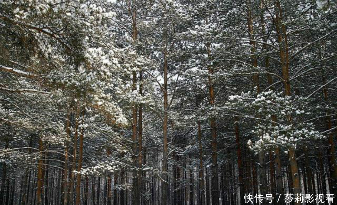 夏云多|陶渊明这首诗娓娓道来,每一句都如诗如画,同时还充满了哲理!