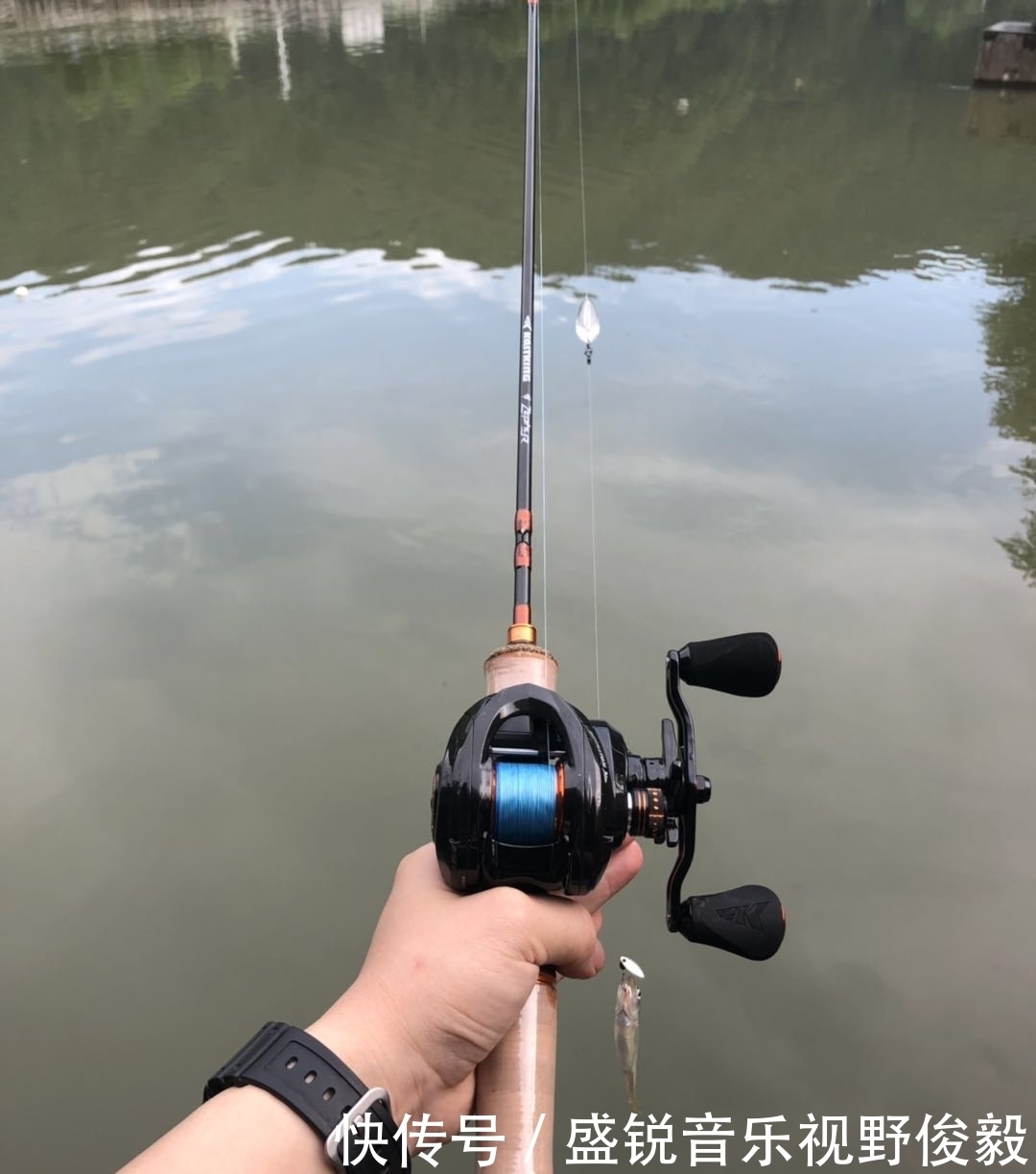 亮片|立夏后,作钓白条的几点技巧,一般人真不知道