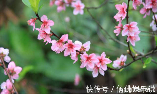 春晓&元稹的这首七绝《春晓》,正是描写了自己的初恋,写得很是感人