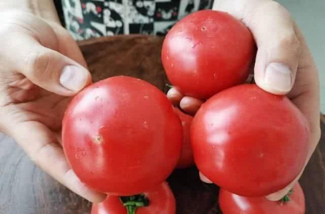 买西红柿时,碰到3种西红柿转身就走,菜贩子自己都不吃!