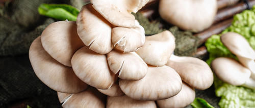 经常吃这道菜,越吃越健康,你知道是哪种菜吗