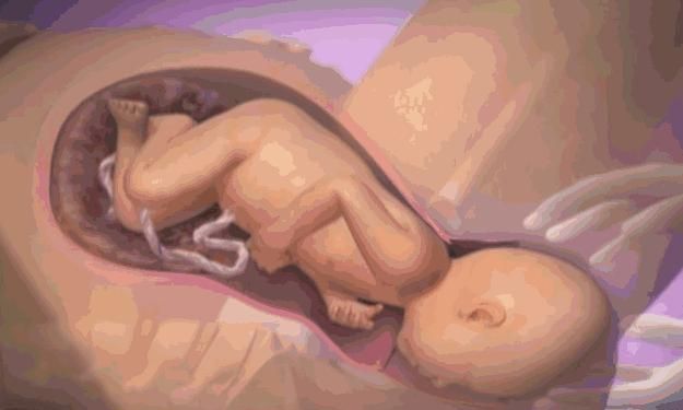 宝妈|顺产最痛的四个瞬间,过来人坦言第三个强忍,第四个彻底崩溃了