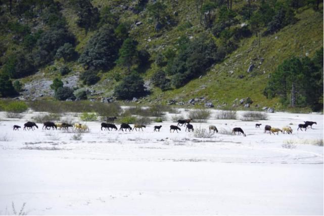 美图|海量美图来袭！走进干河坝感受不一样的玉龙雪山