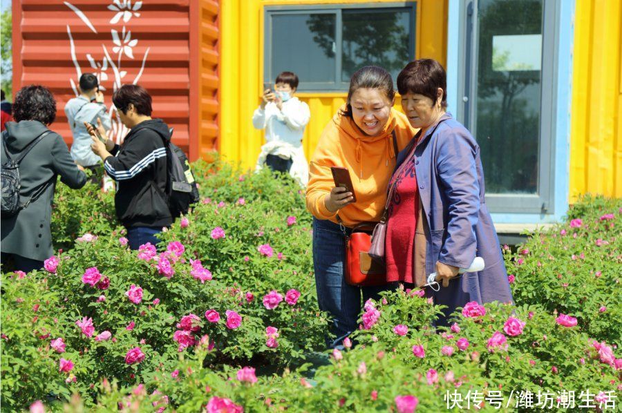 齐鲁酒地花海初绽放，假期遛娃忙 ~ 这个五一，就是玩儿