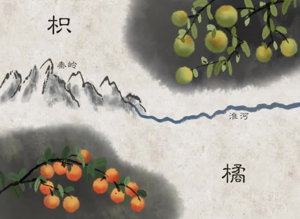 世本|湖湘广记丨解读家谱:谁是帝王将相的孑遗?