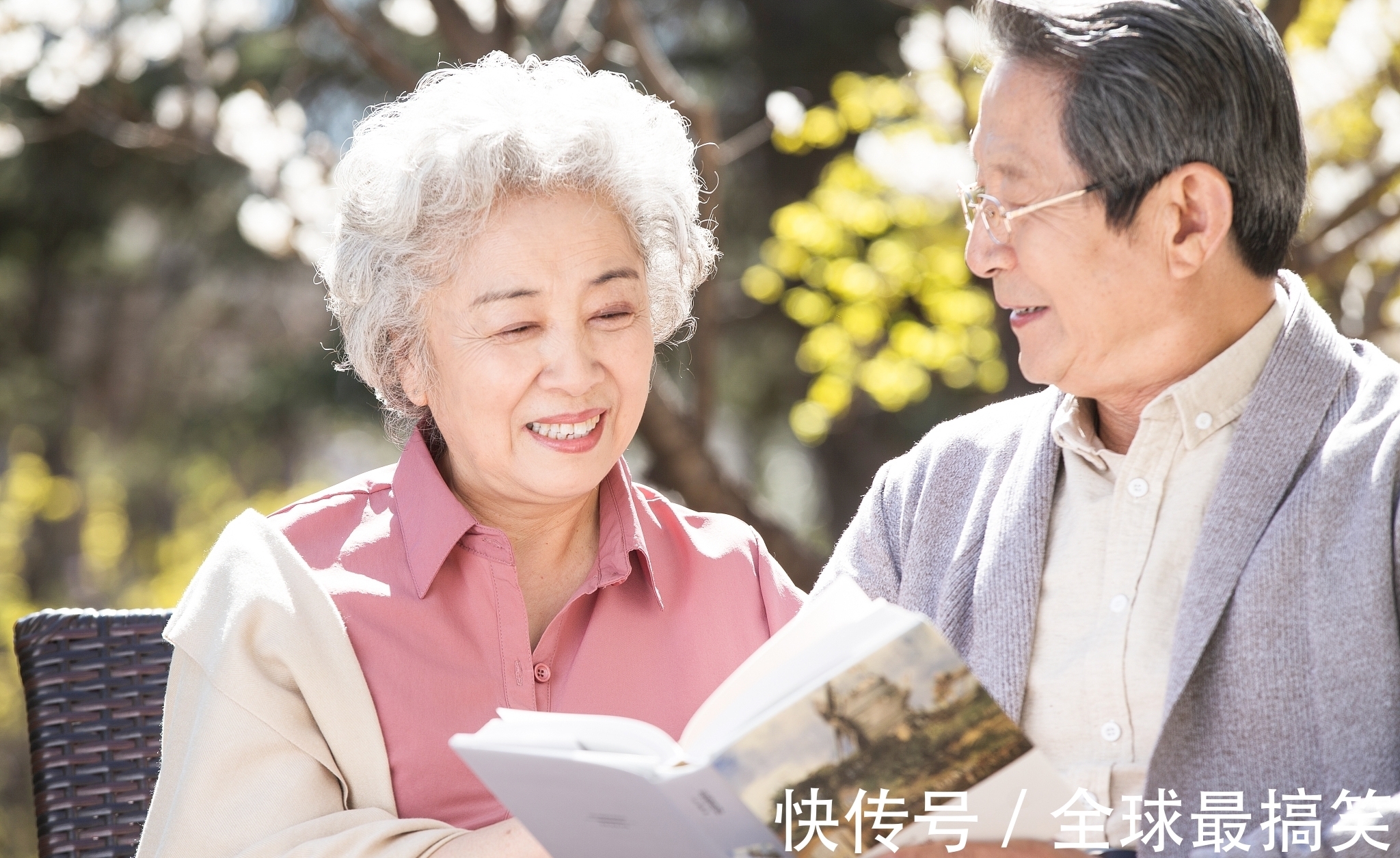 庞凤山#白岩松:读书,就是为读书而读书