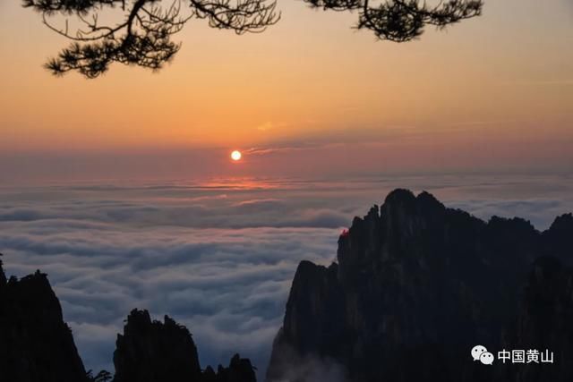 寻秋记|「黄山寻秋记」暮色黄山 心神向往