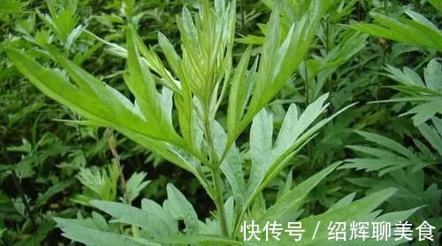阳陵泉穴|胆经一通,万病无踪!1个穴位通肝胆,5大疾病全解决