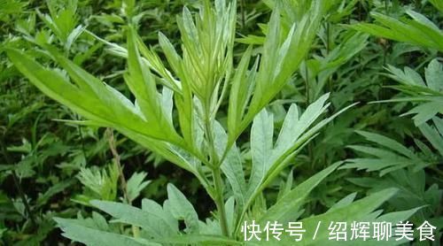 阳陵泉穴|胆经一通，万病无踪！1个穴位通肝胆，5大疾病全解决