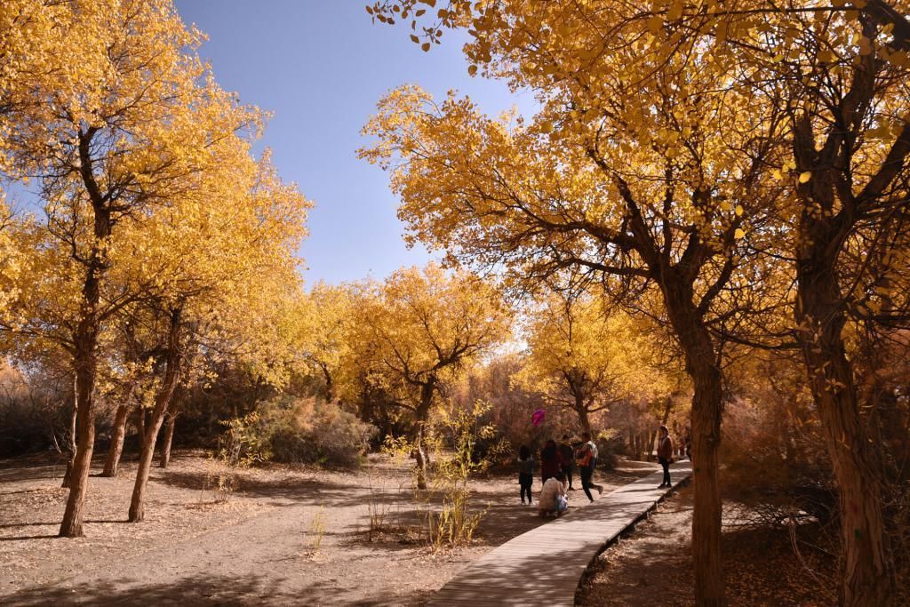 发射 中国航天的摇篮城市,国内的第一颗人造地球卫星就在这里发射