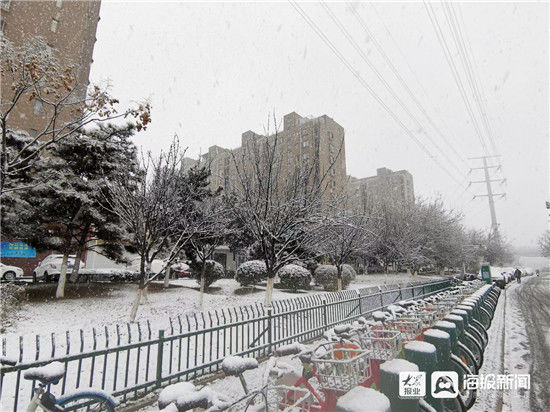 雪景|组图丨下雪了！济宁最美的雪景都在这儿