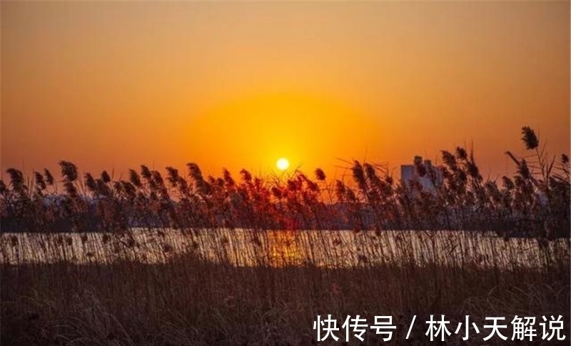 悲秋!寒露,在诗词中感受凉凉的秋意,赏析范仲淹的千古名篇《苏幕遮》