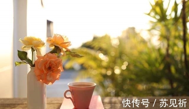 茗香#散文,阳光落在掌心,书卷且伴香茗