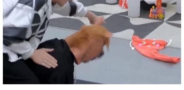 节目|《拜托了冰箱》再惹争议,王嘉尔被嘉宾当马骑,节目组紧急删除