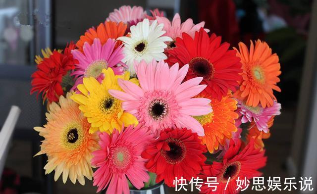 家里养4种花,冬天别再修剪了,小心剪完不开花
