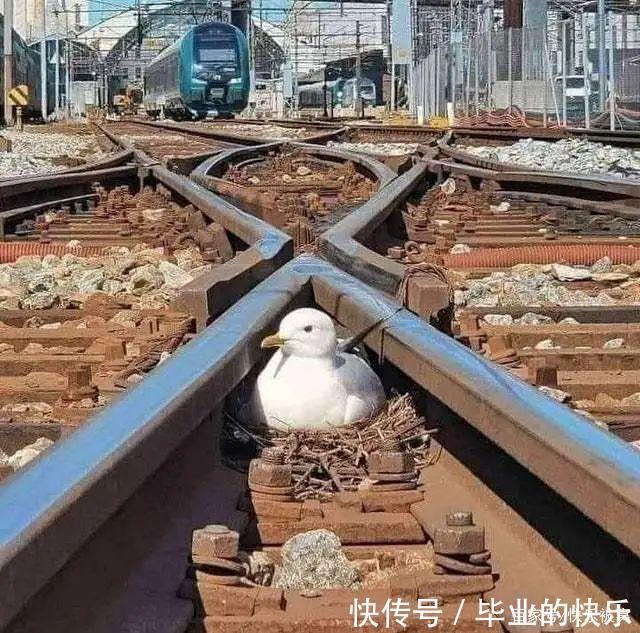 |「被窝段子20210915」要长大,要学会一个人抵挡千军万马