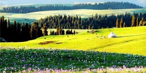 一首《可可托海的牧羊人》唱响春晚,让伊犁惊艳了全世界!