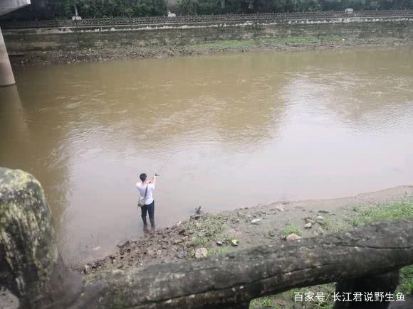  假鱼|珠江水浅，有人钓起一大堆“假鱼”，价值千元