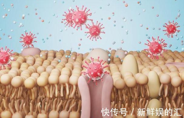 营养元素|为什么吃饱才能减肥？不仅可以增加饱腹感，更重要的是补充营养